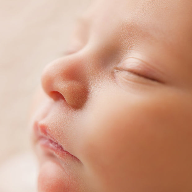Banner image for: <h1>Baby Essentials </h1>